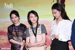 娱乐圈吃瓜群众之歌,揭秘“吃瓜群众之歌”背后的娱乐圈故事