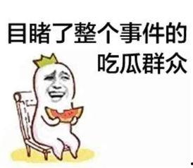 娱乐唠嗑开心吃瓜的小说,吃瓜唠嗑，笑料百出