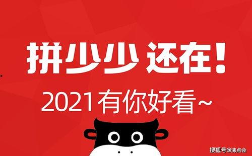 娱乐吃瓜微信公众号,娱乐吃瓜公众号带你探秘明星生活