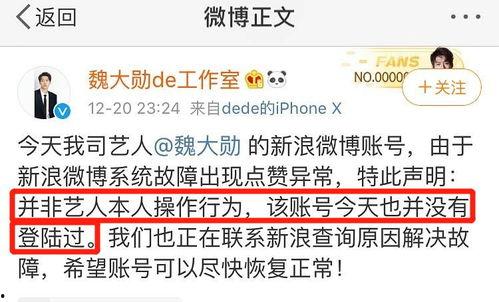 娱乐吃瓜微信公众号,娱乐吃瓜公众号带你探秘明星生活