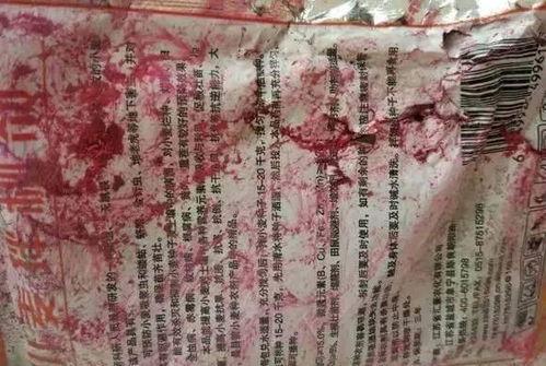 娱乐吃瓜君和二豆,揭秘娱乐圈背后的那些事儿