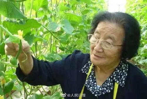 娱乐吃瓜君王鸥是谁,娱乐吃瓜界的风云人物