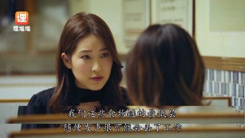 娱乐圈经典吃瓜小说