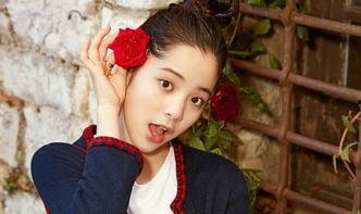 娱乐吃瓜姐娜娜摆摊日记,揭秘娱乐圈背后的真实生活