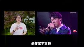 娱乐吃瓜群众歌曲大全视频,歌曲大全视频精选回顾
