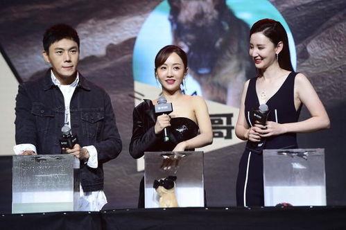 娱乐吃瓜最新剧组排名,揭秘热门剧组背后的秘密与竞争