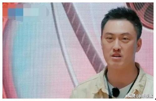 娱乐圈吃瓜爆料2024,揭秘年度吃瓜大事件