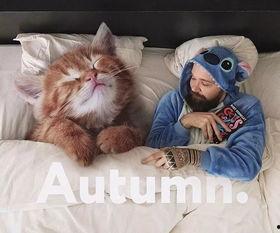 娱乐吃瓜酱给猫照相,猫咪写真集