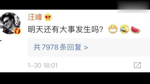 娱乐吃瓜圈小程序下载,小程序带你畅游明星八卦世界