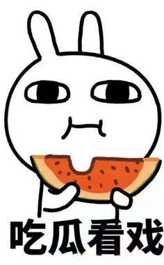 娱乐吃瓜君正方形,正方形背后的秘密与魅力