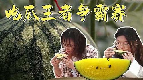 娱乐吃瓜酱最心酸的话,心酸独白，揭秘娱乐圈背后的辛酸泪